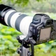 江阴索尼相机回收江阴佳能相机回收江阴尼康相机回收