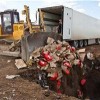 東莞沙田鎮過期薯條銷毀公司銷毀處置