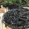 梅州兴宁二手电缆回收公司现场结算