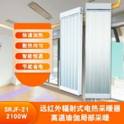 饭店办公室高温瑜伽取暖器上海道赫SRJF-10
