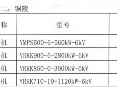 铜陵高压电机一批图3