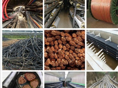 滁州鸽牌废旧电缆回收（价格合理）
