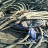 宁波红日电线电缆回收（宁波）回收二手电缆价格
