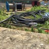 池州中天淘汰电缆线回收（按米结算）