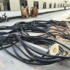 连云港天虹电缆回收（专业回收）
