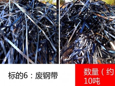 锌铝镁钢废料（数量约300吨）、锌铝镁钢工艺落料（数量约120吨）、废钢带（数量约10吨）图3