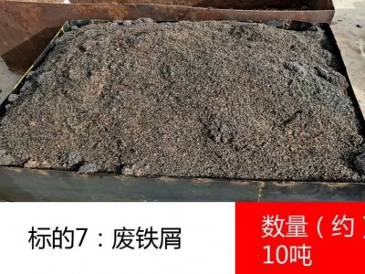 废铁屑（数量约10吨）、废氧化铁（数量约30吨）图1