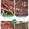 阳江江城区回收二手发电机公司专业发电机回收