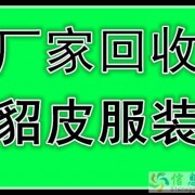 营口上门回收貂皮大衣二手貂皮回收