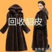 淄博貂皮回收.淄博專(zhuān)業(yè)上門(mén)回收貂皮大衣
