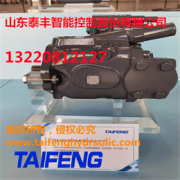 泰豐TFB1V80Y/1X-LRB2的柱塞泵