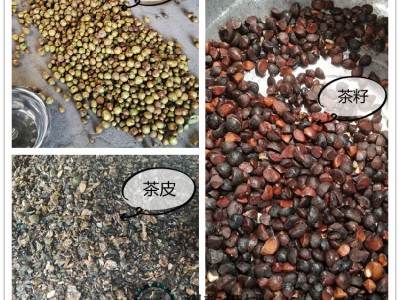 青茶籽剥壳机器 新一代无损油茶果脱壳机 茶球木子脱皮筛分机图2