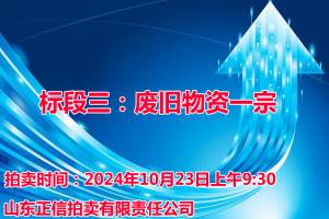 废旧物资一宗及报废机动车拆解权一宗拍卖公告图3